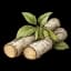 Birch
