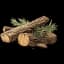 Cedarwood