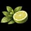 Citrus
