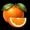Citrus