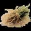 Vetiver
